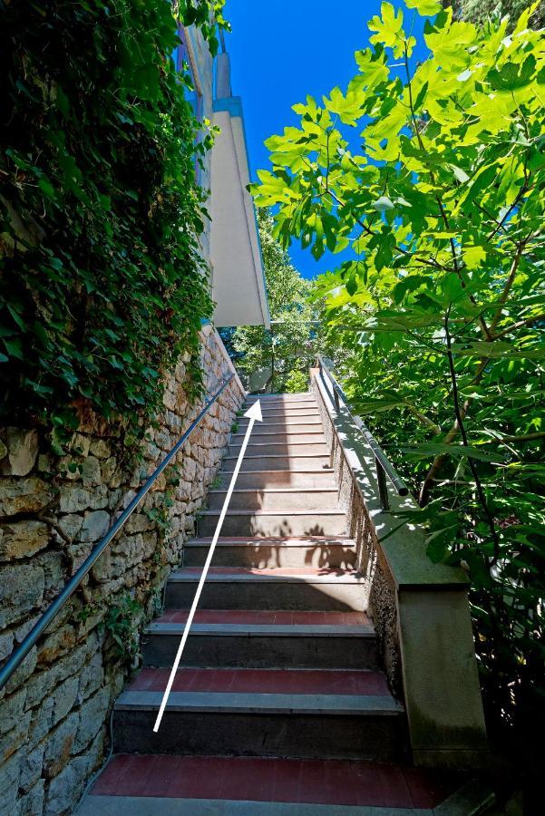 Magnolia Art Dubrovník